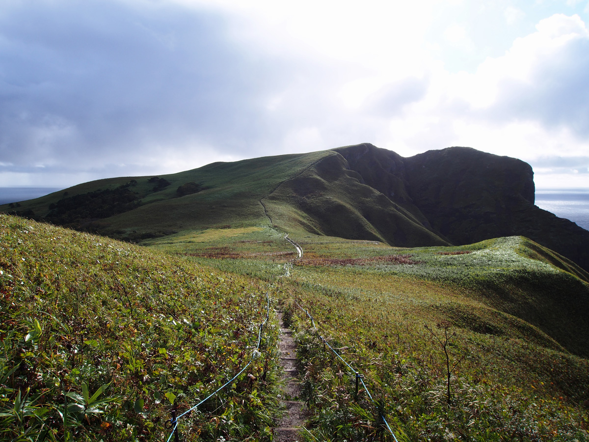 礼文島 キンバイの谷