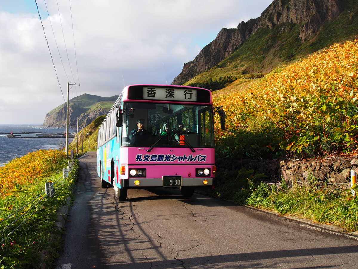 礼文島 路線バス 元地