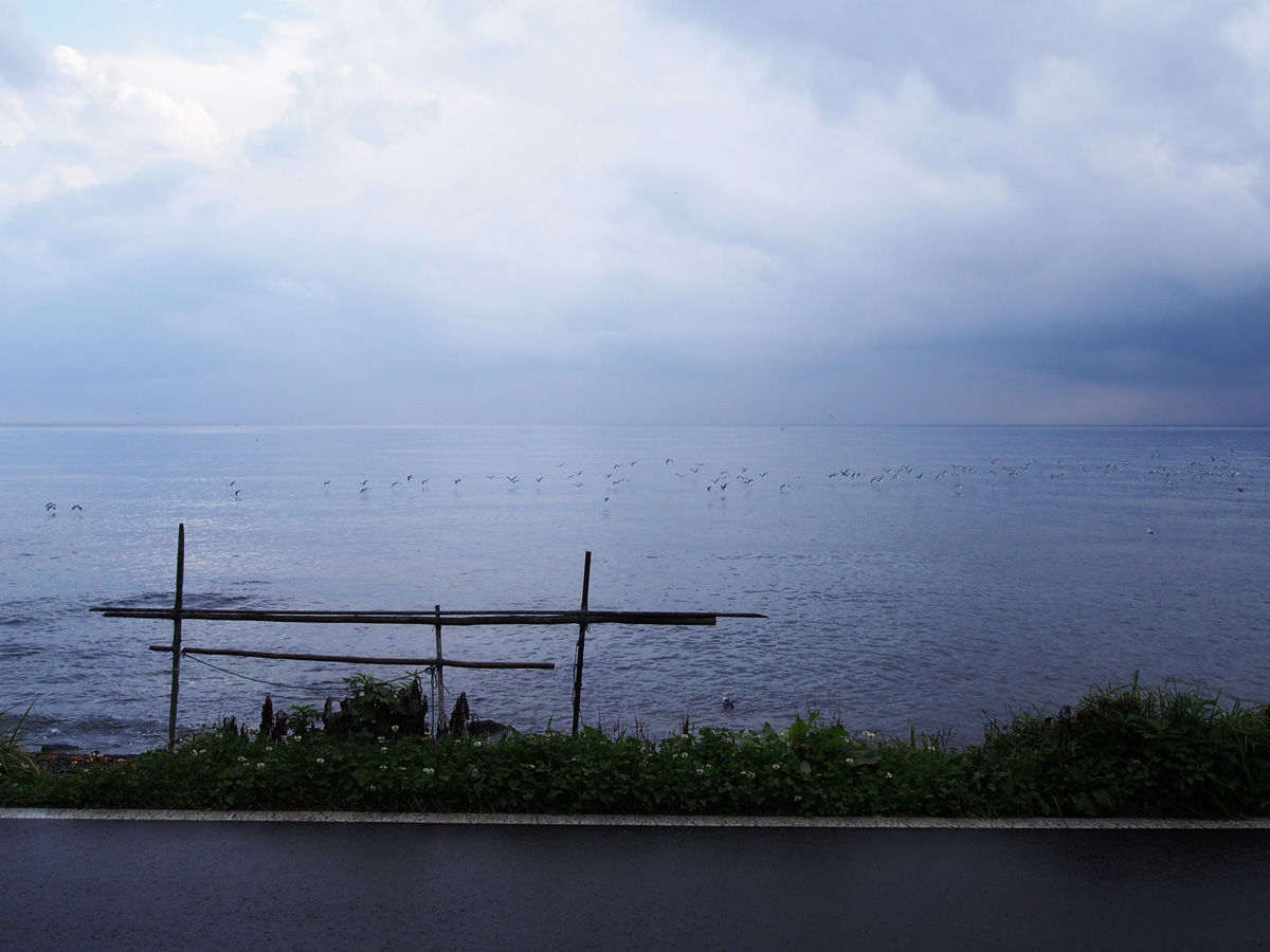 礼文島 上泊 漁業