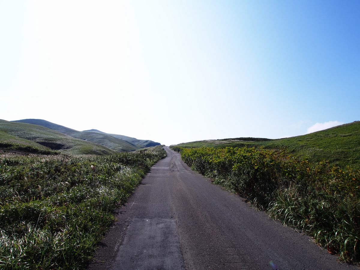 江戸屋山道 礼文島