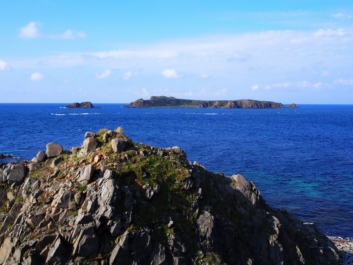 礼文島 トド島(海驢島)