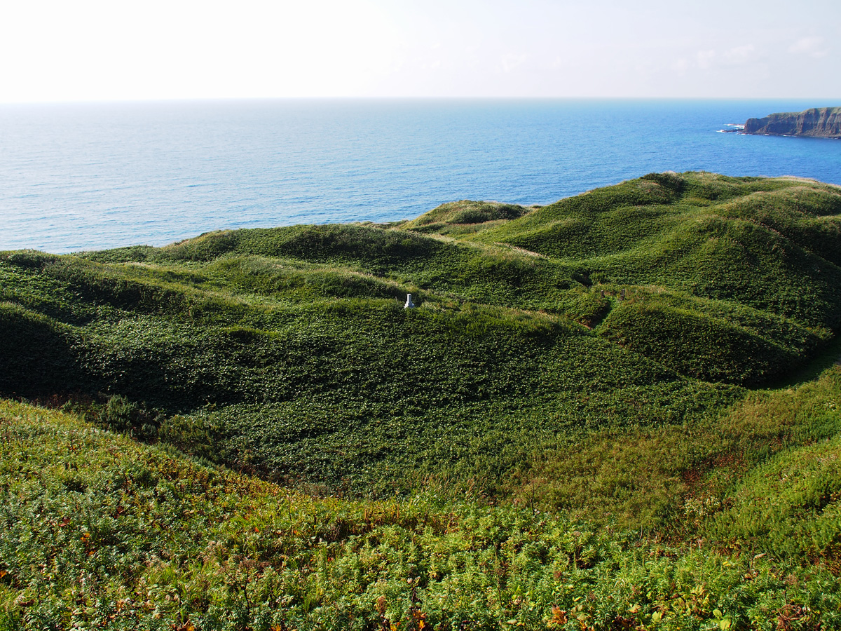 鮑古丹の墓地 礼文島の限界集落