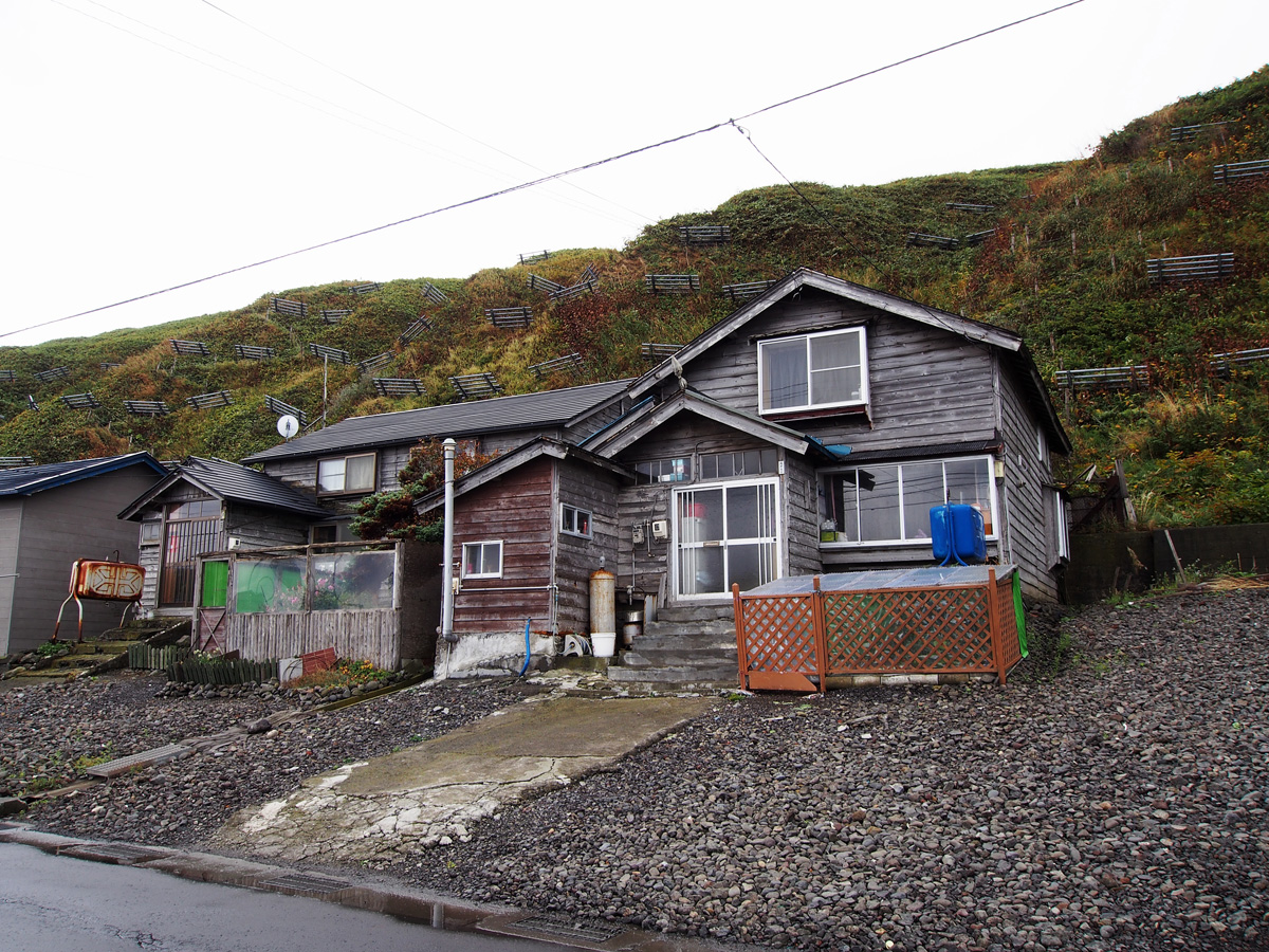 礼文島 奮部