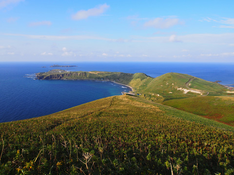 礼文島 スコトン岬