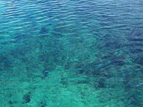 澄んだ水色の海面