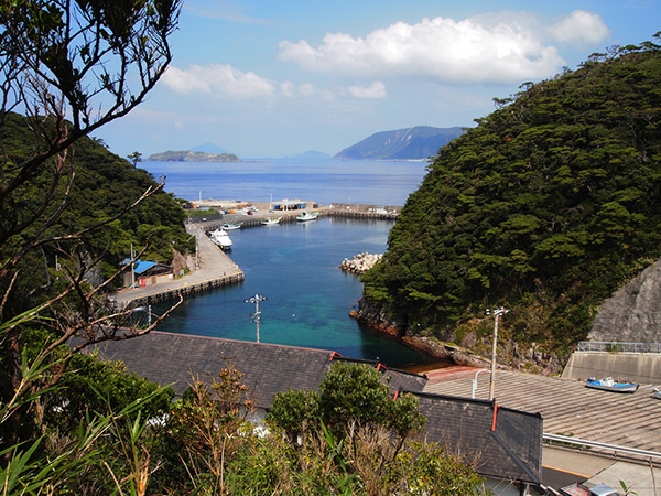 上から見た野伏港