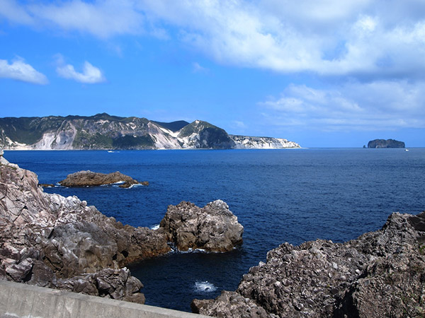 小の口公園から見る新島