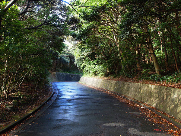 御釜湾方面の道