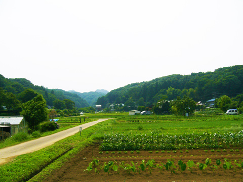 穴川の集落