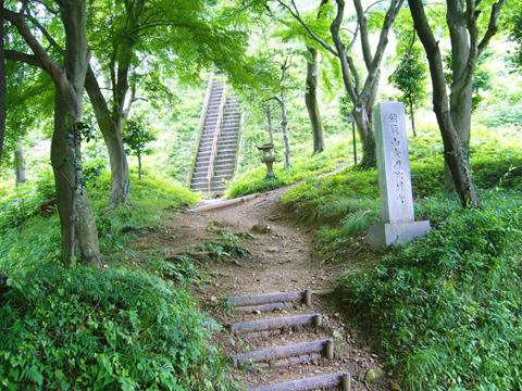 急斜面の階段