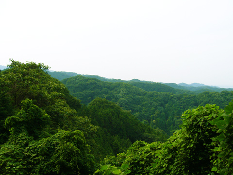 城山湖の周囲