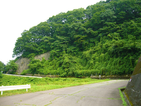 ダム湖の散策路