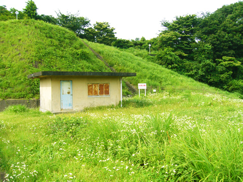 草花に囲まれた小屋