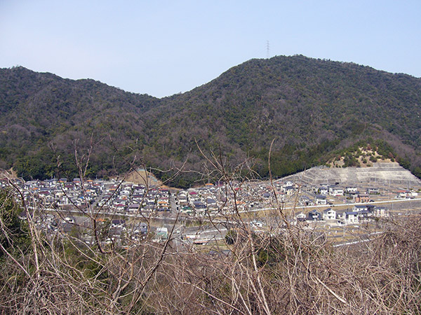 みつぎ団地を見下ろす