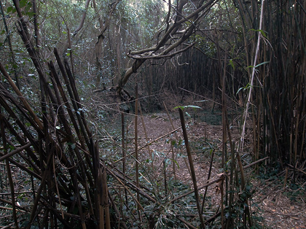 砲台跡を発見