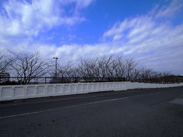 海上自衛隊 館山航空基地