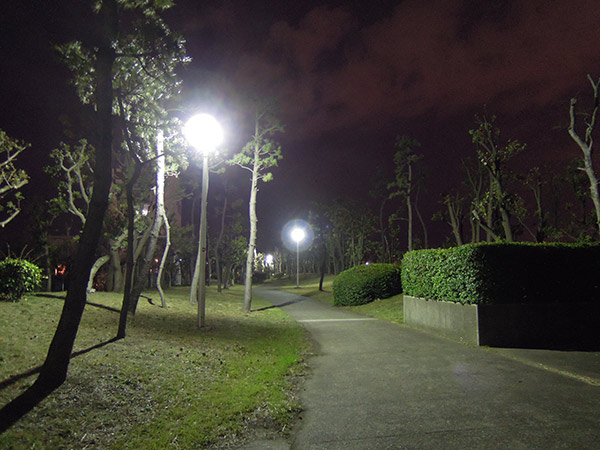 夜 ちどり公園